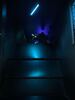 IMG 6886