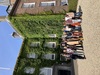 IMG 8193